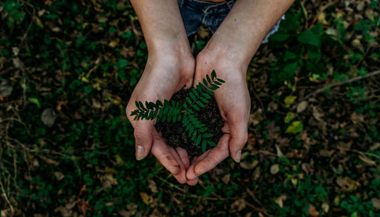 Nurturing Wellness - MAAB New Zealand