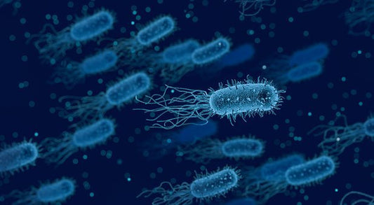 Repost: Diversity Matters in Microbiota - MAAB New Zealand