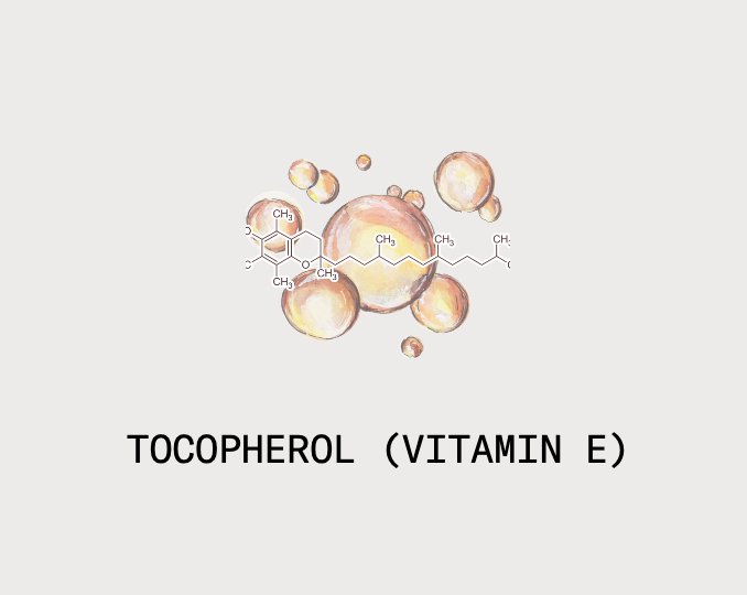 Prebiotic Cleanser